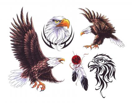 Eagles Tat Designs 