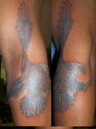 Birds tattoos, Eagle tattoos, Tattoos of Birds, Tattoos of Eagle, Birds tats, Eagle tats, Birds free tattoo designs, Eagle free tattoo designs, Birds tattoos picture, Eagle tattoos picture, Birds pictures tattoos, Eagle pictures tattoos, Birds free tattoos, Eagle free tattoos, Birds tattoo, Eagle tattoo, Birds tattoos idea, Eagle tattoos idea, Birds tattoo ideas, Eagle tattoo ideas, Amerian eagle