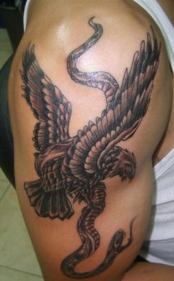 Birds tattoos, Eagle tattoos, Tattoos of Birds, Tattoos of Eagle, Birds tats, Eagle tats, Birds free tattoo designs, Eagle free tattoo designs, Birds tattoos picture, Eagle tattoos picture, Birds pictures tattoos, Eagle pictures tattoos, Birds free tattoos, Eagle free tattoos, Birds tattoo, Eagle tattoo, Birds tattoos idea, Eagle tattoos idea, Birds tattoo ideas, Eagle tattoo ideas, eagle fight with snake tattoo