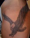 Eagle tattoos gallery