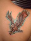 flying eagle pics tattoo on right shoulder blade