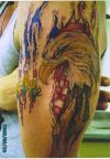eagle head pic left arm tattoo