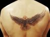 Eagle tattoos pics gallery