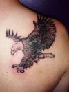 flying bird right shoulder blade tattoo