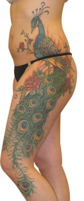 Peacock Tattoo On Thigh And Stomach