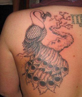 Peacock And Cherry Blossom Tree Tattoo