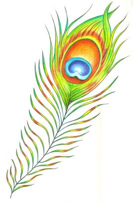 Free Peacock Feather Tattoo 