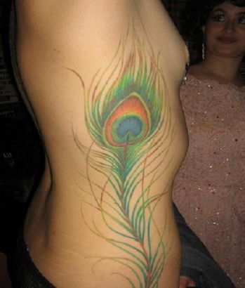 Peacock Feather Tattoos On Rib