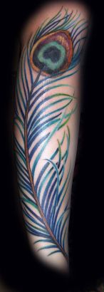 Peacock Feather Pic Tattoos