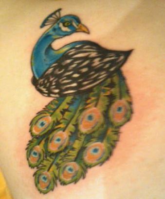 Peacock Tattoo Pic