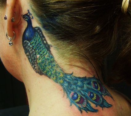 Peacock Tattoo On Back Of Ear