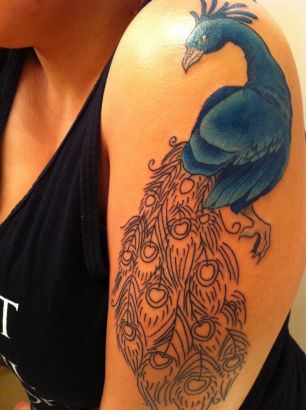 Peacock Pic Tattoo On Left Arm