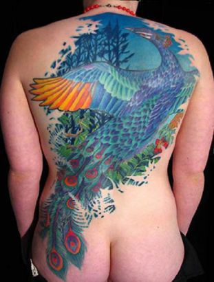 Peacock Tattoos Pics On Back
