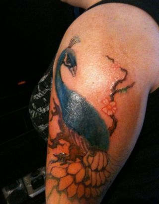 Peacock Pic Tattoo On Left Arm Of Girl