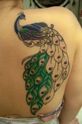 Peacock Tattoo On Right Shoulder Blade