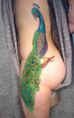 Peacock Pic Tattoo On Thigh And Side Back