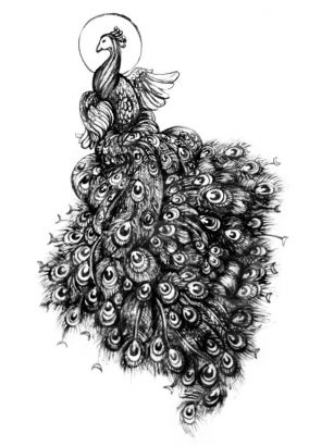 Peacock Free Tattoos Pics