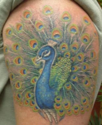 Peacock Tattoos On Arm