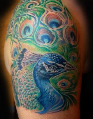 Peacock Image Tattoos On Arm