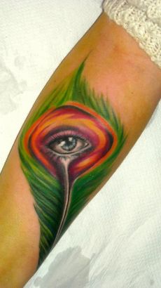 Peacock FEATHER
