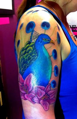 Birds tattoos, Peacock tattoos, Tattoos of Birds, Tattoos of Peacock, Birds tats, Peacock tats, Birds free tattoo designs, Peacock free tattoo designs, Birds tattoos picture, Peacock tattoos picture, Birds pictures tattoos, Peacock pictures tattoos, Birds free tattoos, Peacock free tattoos, Birds tattoo, Peacock tattoo, Birds tattoos idea, Peacock tattoos idea, Birds tattoo ideas, Peacock tattoo ideas, peacock color