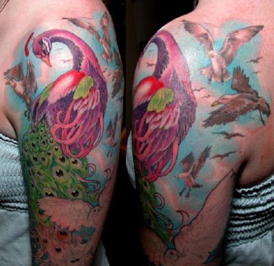 Birds tattoos, Peacock tattoos, Tattoos of Birds, Tattoos of Peacock, Birds tats, Peacock tats, Birds free tattoo designs, Peacock free tattoo designs, Birds tattoos picture, Peacock tattoos picture, Birds pictures tattoos, Peacock pictures tattoos, Birds free tattoos, Peacock free tattoos, Birds tattoo, Peacock tattoo, Birds tattoos idea, Peacock tattoos idea, Birds tattoo ideas, Peacock tattoo ideas, peacock and birds tattoo on arm