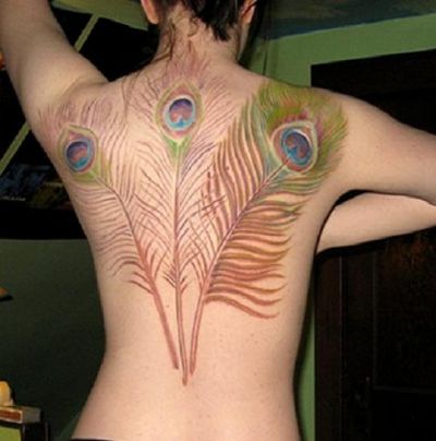 peacock feather pic tattoo design on back. Birds tattoos, Peacock tattoos, Tattoos of Birds, Tattoos of Peacock, Birds tats, Peacock tats, Birds free tattoo designs, Peacock free tattoo designs, Birds tattoos picture, Peacock tattoos picture, Birds pictures tattoos, Peacock pictures tattoos, Birds free tattoos, Peacock free tattoos, Birds tattoo, Peacock tattoo, Birds tattoos idea, Peacock tattoos idea, Birds tattoo ideas, Peacock tattoo ideas, peacock feather pic tattoo on back