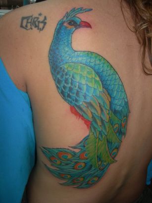 Birds tattoos, Peacock tattoos, Tattoos of Birds, Tattoos of Peacock, Birds tats, Peacock tats, Birds free tattoo designs, Peacock free tattoo designs, Birds tattoos picture, Peacock tattoos picture, Birds pictures tattoos, Peacock pictures tattoos, Birds free tattoos, Peacock free tattoos, Birds tattoo, Peacock tattoo, Birds tattoos idea, Peacock tattoos idea, Birds tattoo ideas, Peacock tattoo ideas, peacock pic tattoo on side back