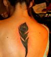 peacock feather tattoo for girl
