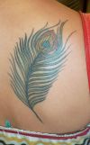 peacock feather back tattoo