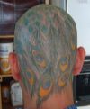 peacock feather tattoo on head