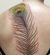 peacock feather tattoo pic on back