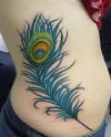 peacock feather rib tattoo