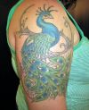 peacock tattoo on right arm of girl