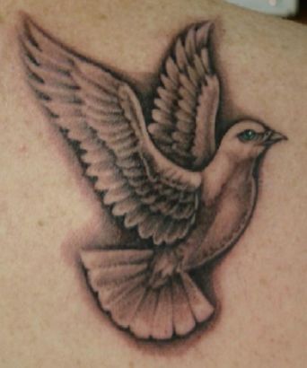 Dove Tattoo On Shoulder