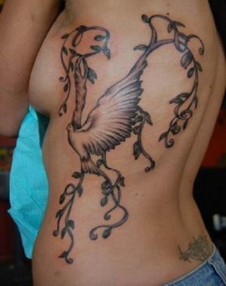 Dove And Vine Pic Tattoo On Rib