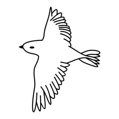 Dove Tats Design