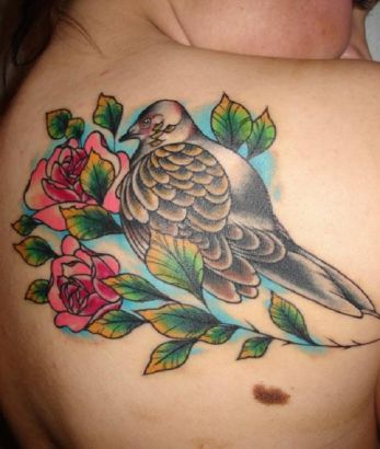 Rose And Black Dove Tattoo On Shoulder