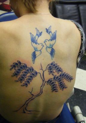 Tree And Dove Pic Tattoo On Back