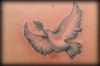 dove tats design