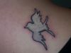 dove image of tattoo