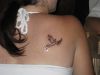 Dove tattoo design pics