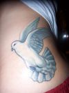 dove picture of tattoo