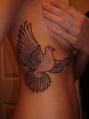 dove tattoo pic on rib