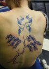 tree and dove pic tattoo on back