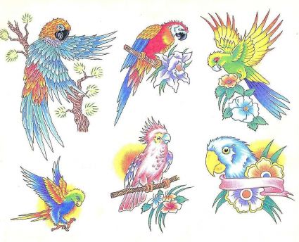 Parrot Tattoos