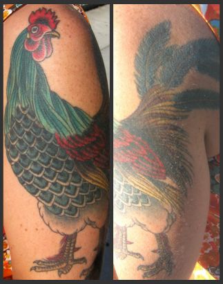 Bird Tattoo Pics Image Gallery