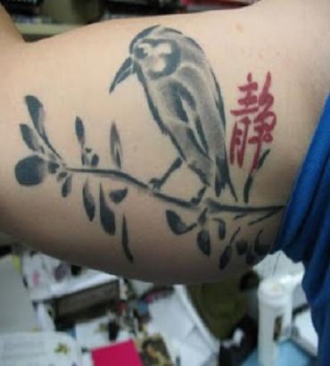 Bird Pic Tattoo On Biceps