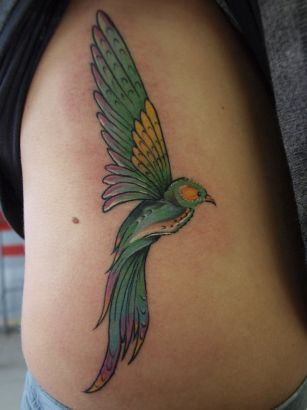 Bird Pics Tattoo On Side Rib