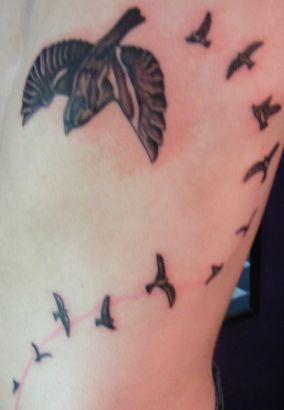 Birds Flock Pic Tattoo On Rib